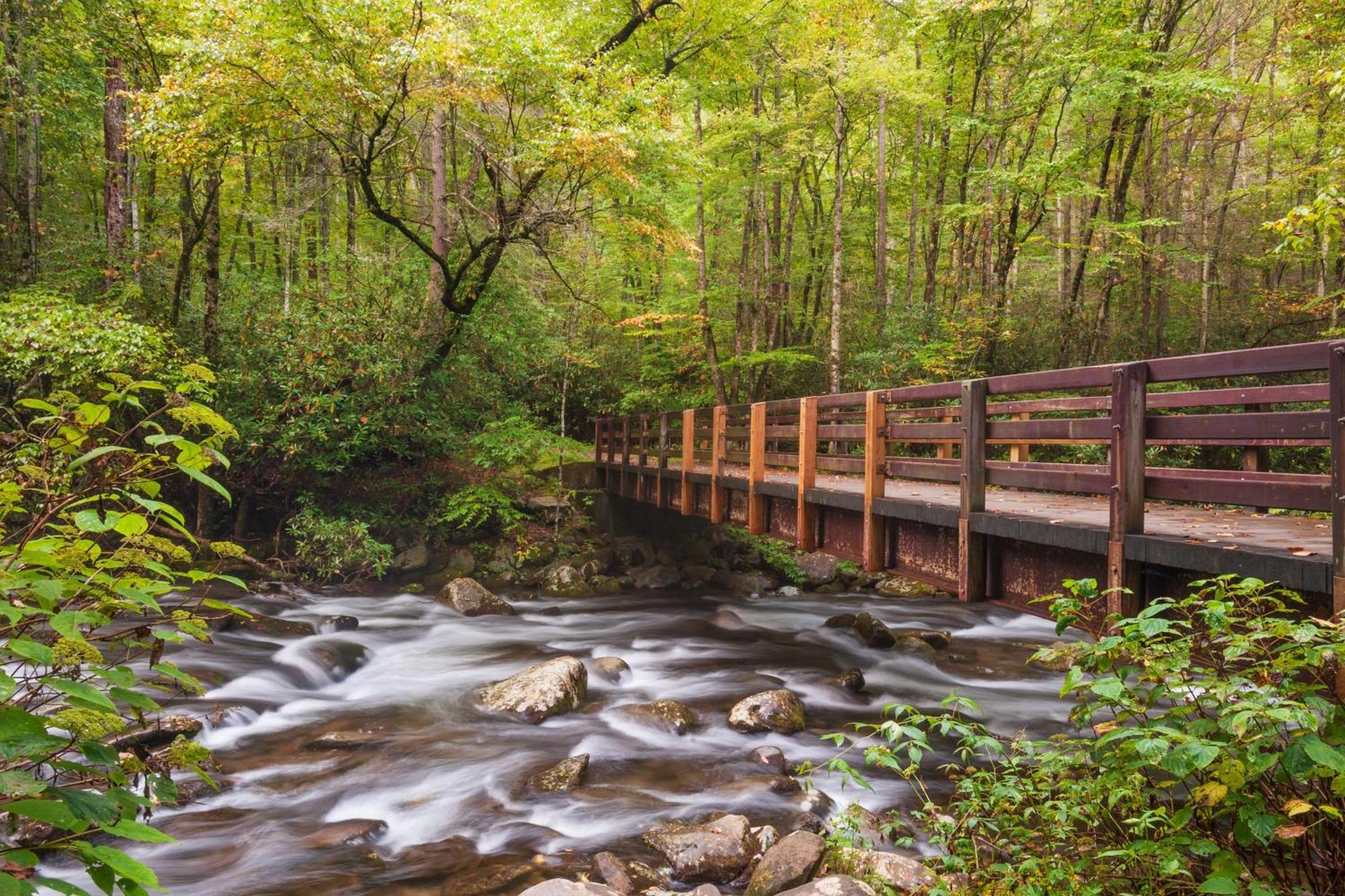 Rock Of Ages, Hot Tub, Game Room, Wifi, 1089 Free Tickets Each Paid Day, Dollywood And More Pigeon Forge Luaran gambar